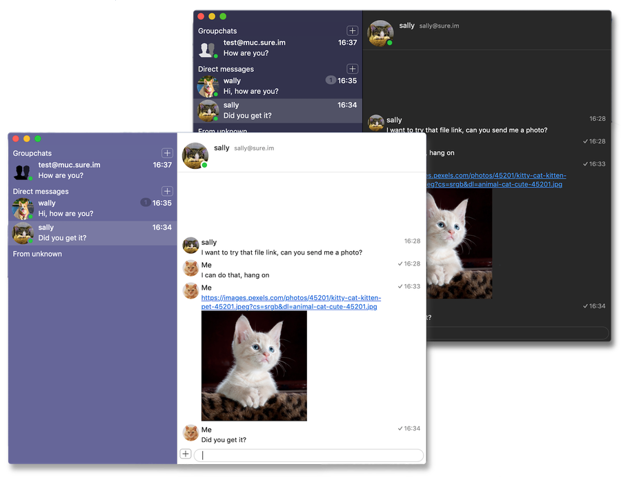 beagle xmpp